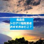 【青森県】おすすめシロアリ駆除業者!羽アリ駆除料金相場はいくら?