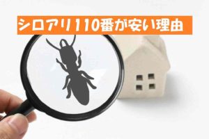 シロアリ110番の駆除費用・料金が安い理由とは？施工や作業は問題ない？