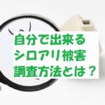 シロアリ被害を自分で調査する方法!早めの対策がマイホームを救う!