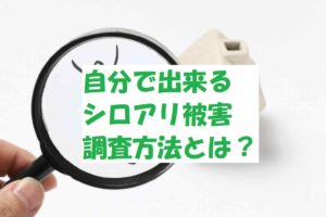 シロアリ被害を自分で調査する方法！早めの対策がマイホームを救う！