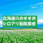 【北海道】おすすめのシロアリ駆除業者!料金費用の相場はいくら?