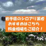 【岩手県シロアリ駆除】おすすめの業者は?料金価格の相場はいくら?