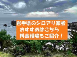 【岩手県シロアリ駆除】おすすめの業者は？料金価格の相場はいくら？