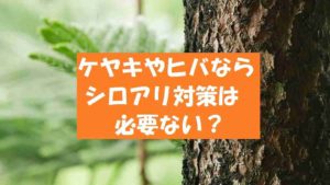 ヒノキやヒバはシロアリに強く被害は出ない？駆除が必要ないって本当？