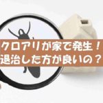 クロアリ(黒アリ)羽蟻が家で発生!駆除退治は必要?建物に被害はある?