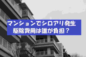 マンション・アパートでは誰がシロアリ駆除費用負担？原因と対処方法とは？