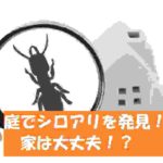 シロアリ駆除の保証期間は5年10年 保証書はある 必要な保証内容とは シロアリ駆除業者ナビ 料金費用相場比較 白蟻対策方法