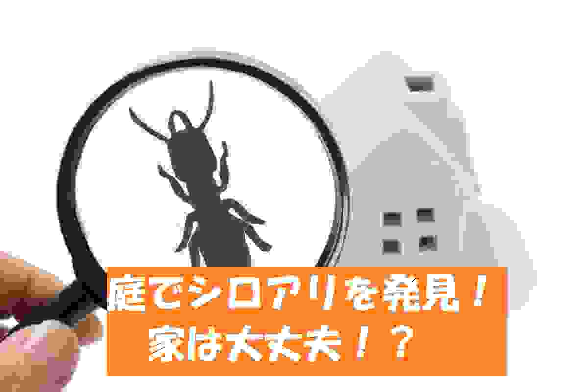 庭でシロアリ ヤマトシロアリ を発見 家に被害が出る可能性はある シロアリ駆除業者ナビ 料金費用相場比較 白蟻対策方法