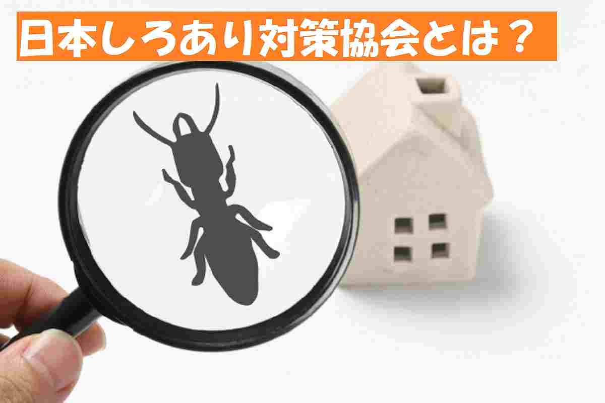 日本しろあり対策協会 シロアリ協会 とは 全国会員登録業者の名前 シロアリ駆除業者ナビ 料金費用相場比較 白蟻対策方法