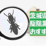 【茨城県】シロアリ駆除業者おすすめ3社!料金費用はいくら?相見積もりで相場を把握!