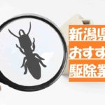 【新潟】シロアリ駆除おすすめ業者!料金費用相場や業者の選び方を紹介!