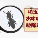 埼玉県のシロアリ駆除業者を料金と口コミで比較!おすすめ4社を紹介!