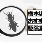 栃木県で探すおすすめ白アリ駆除業者!栃木の料金相場や選び方を紹介!